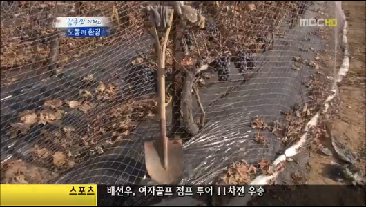 안전불감증 구미 불산 누출사고피해는