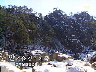 한겨울 깊은 계곡