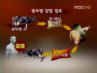 쇠고기 위험한 협상