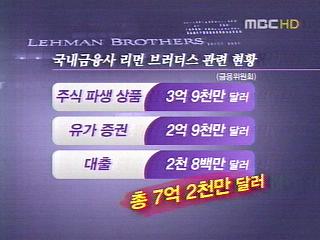 금융위기 국내 파장은