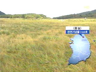 천연기념물 "용늪" 보호 나섰다