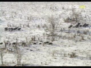 다큐도 대중화 시대극장 다큐 돌풍