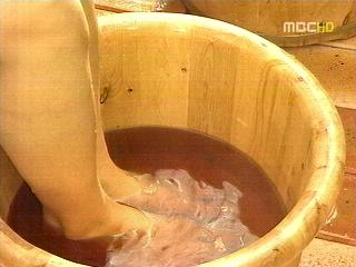 저렴한 봄 열차여행와인열차별빛열차