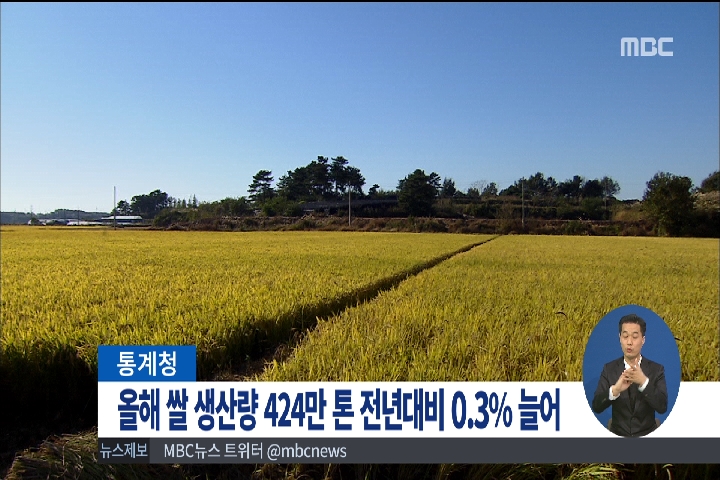 올해 쌀 생산량 424만 톤전년대비 03 늘어
