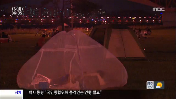 오늘 서울 첫 열대야중부지방 밤부터 다시 폭우
