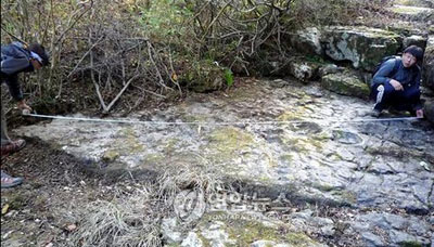 "창원서 공룡 발자국 수십개 발견"<창원대박물관>