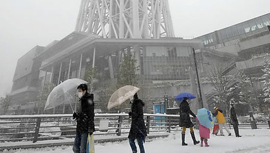 "일본 도쿄 기록적인 폭설에 7명 사망 1000명 이상 부상"