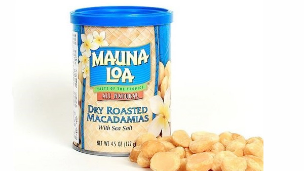 땅콩 회항 사건에 하와이 마카다미아 업계 활력