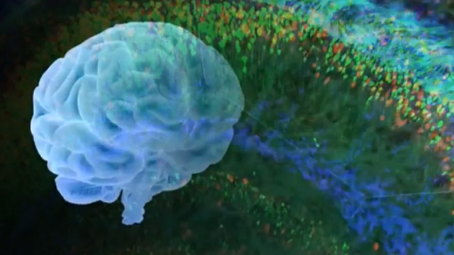 살이있는 동물 뇌 관찰하는 두개골 대용물 개발
