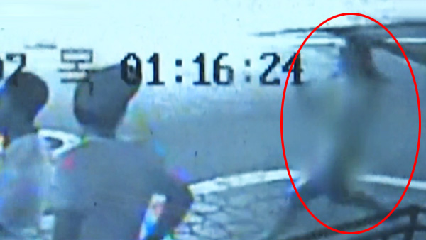 신촌 한복판 알몸 질주 외국인 검거 "술자리 벌칙"