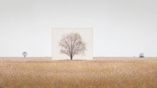 사진작가 이명호유명 디자이너 카트란주 소송 합의로 종결