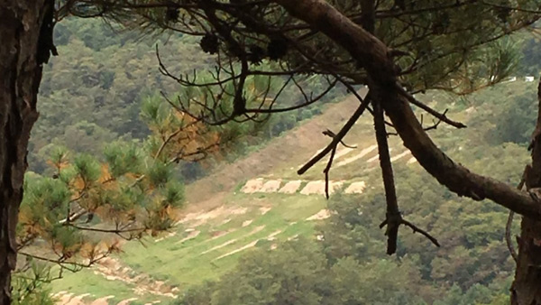 국방부, 6사단 사격장 사망사고 '잔탄사격 의혹' 조사