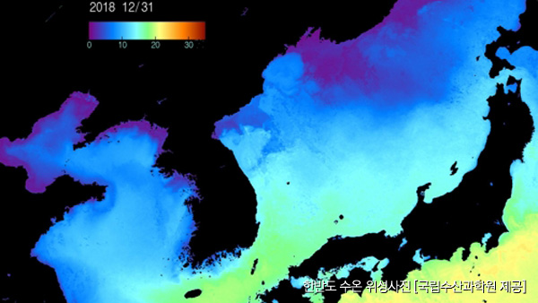 바다양식장 2011년 132억 피해 악몽 재연저수온 초비상