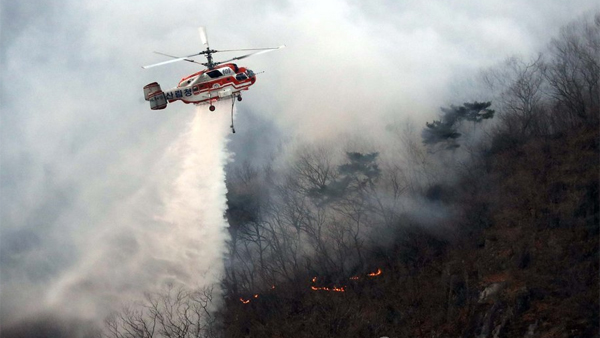 부산 삼각산 화재원인 풍등 영향 가능성 제기