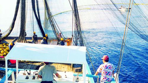 한국 선원 평균 월급 469만원원양 선원은 757만원