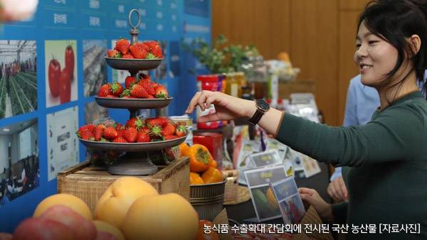 올해 신선농산물 수출 1조5천억원 넘는다김치인삼이 견인