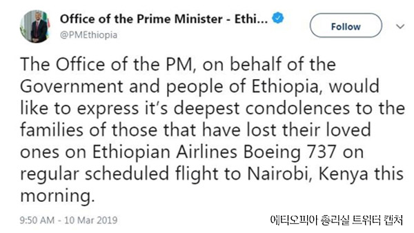 승객승무원 등 157명 탄 에티오피아 여객기 추락