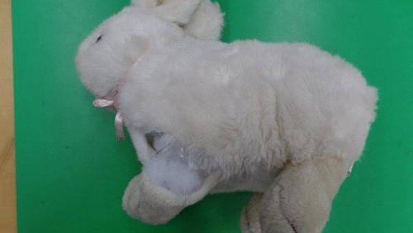 인형장난감에 마약 숨겨 한국 밀반입하던 베트남 여성 체포