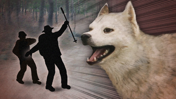 사람 무는 맹견 안전대책 강화…아파트 사육 허가제 추진