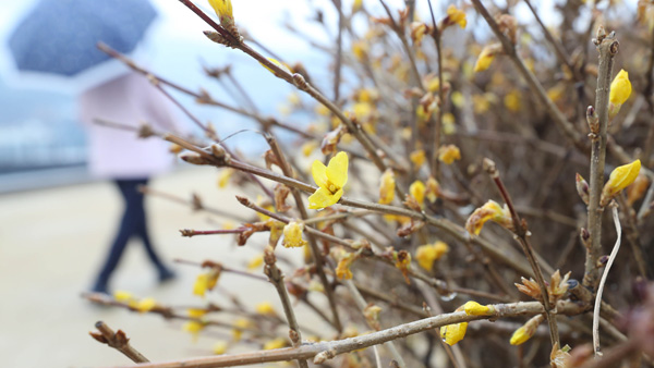 '따뜻한 겨울'에 도시가스 사용도 줄어…판매량 9% 급감