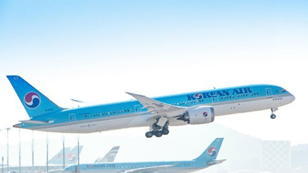 대한항공 "런던→인천 노선 중단…인천 출발편은 운항"