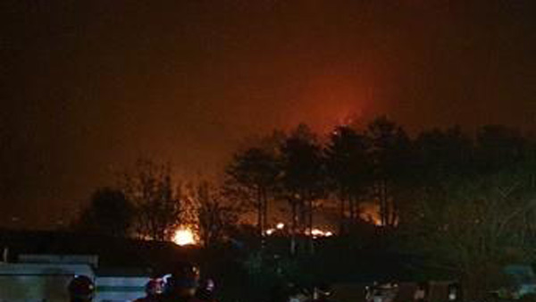 靑, 고성 산불 상황점검회의 개최…"가용 자원 총동원"