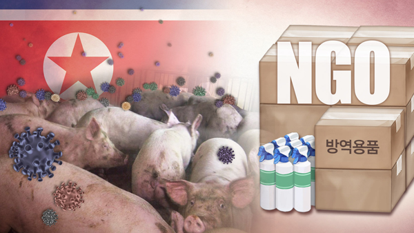 한국 NGO, 북에 아프리카돼지열병 진단장비 보낸다