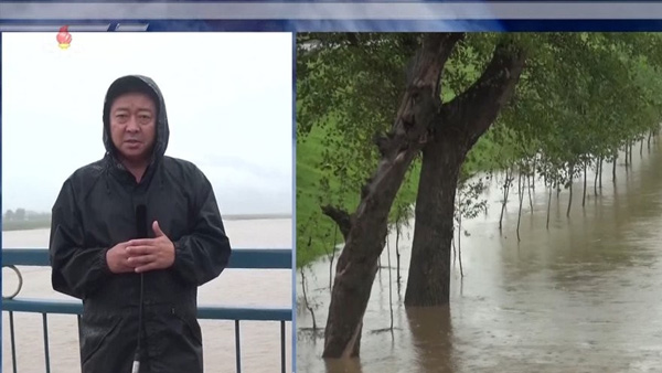 북한, 새벽 시간에도 드라마 끊고 태풍 '마이삭' 재난방송