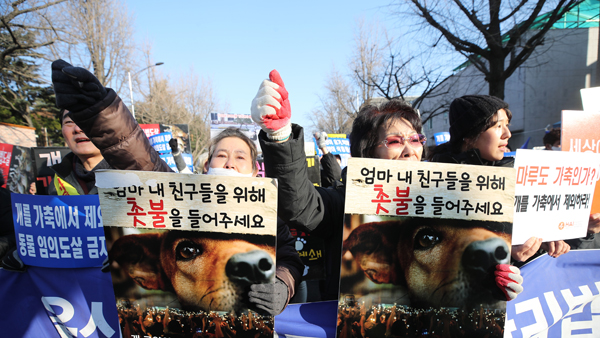 '개도 가축' 규정 축산법 시행령에 개고기 찬반집회