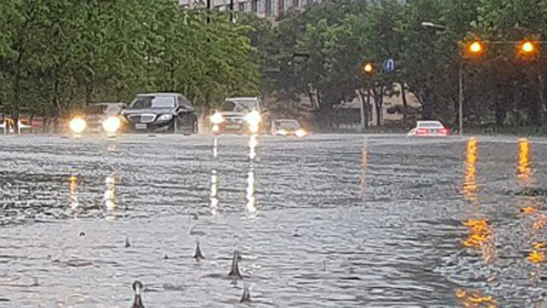 '마이삭'에 경기 지역도 나무 쓰러짐 20여건 피해 신고