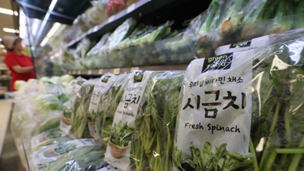 식약처, 기준치 초과 잔류농약 시금치·쑥갓 등 적발