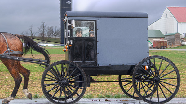 급류에 마차 뒤집혀 미 아미시 마을 어린이 4명 사망