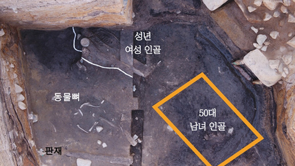 신라 월성서 또 인신공양 흔적…4세기 '제물 인골' 추가 발견