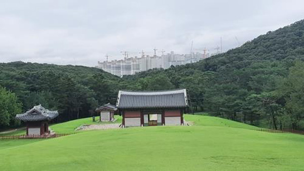 조선 왕릉 옆 검단 무허가 아파트 2곳 내일부터 공사 중지