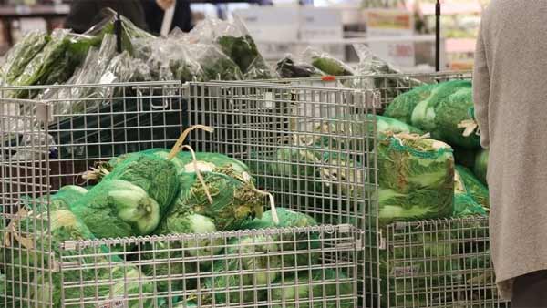 김장비용 모두 껑충‥전통시장 35만5천500원· 마트 41만9천620원