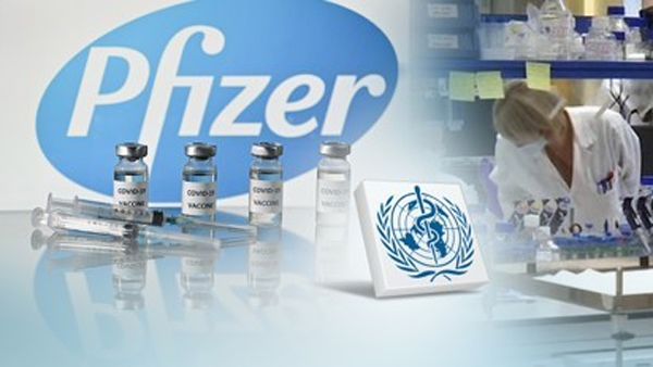 "국내 첫 백신은 화이자, 2월 초 5만명분 도입"