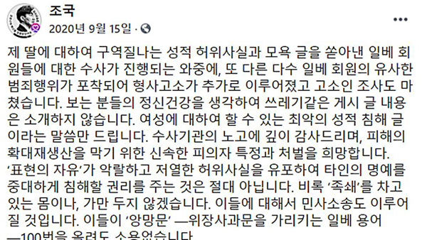 조국 딸 성적 모욕 글 올린 남성 100만원 약식기소