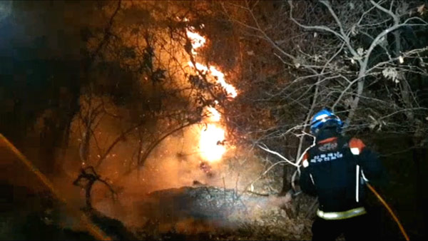 남양주 천마산에서 이틀 연속 화재‥1ha 피해