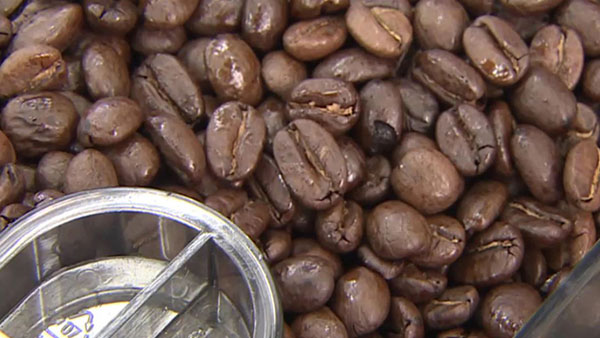 커피값 낮아지나‥농식품부 "생두 수입업체 공급가 인하 시작"