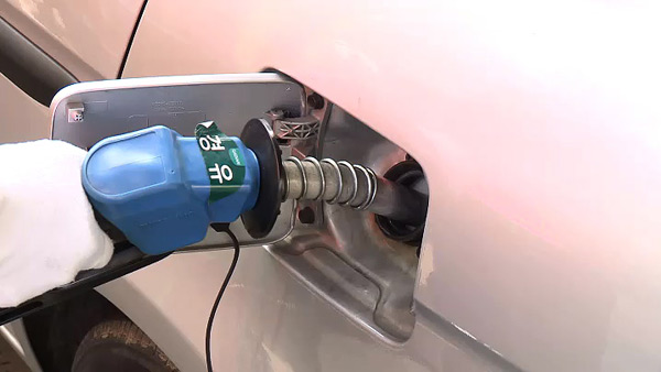 화물차·버스 등 경유 유가연동보조금 지원 내년 4월까지 연장