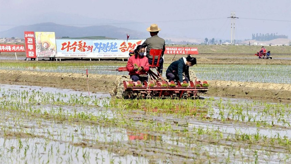 북한, 심상치 않은 가뭄에 사무직, 주부까지 총동원
