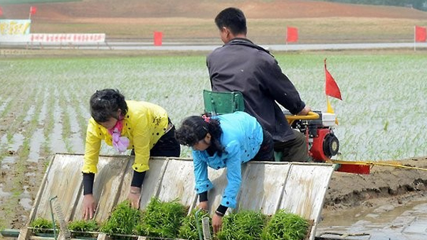 북한, 철저한 모내기 준비 당부‥"수확량 목표 달성해야"