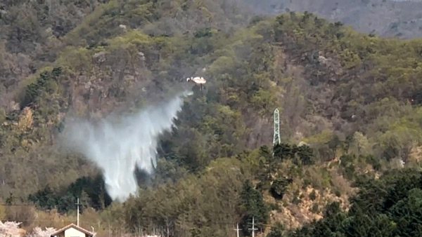 경기 여주시 야산에서 불‥다친 사람 없어