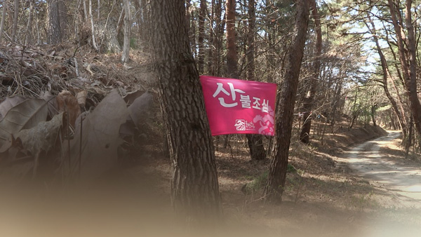 경기 안산 야산서 잇단 산불‥소방당국 헬기 동원 진화 작업