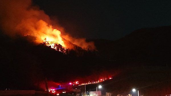 경기 하남 위례신도시 청량산 불…1천500평 태우고 확산