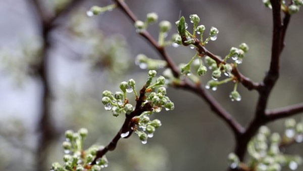전국 가끔 구름 많아 제주도남해안 비