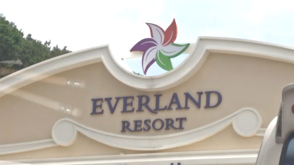 에버랜드 사파리 트램에 사자 '쾅'‥유리문 부서져 관람객 28명 대피