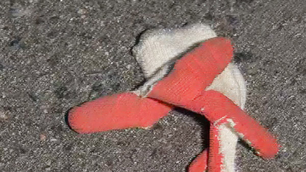 경기 포천 골재장, 컨베이어 벨트 청소하던 60대 노동자 사망