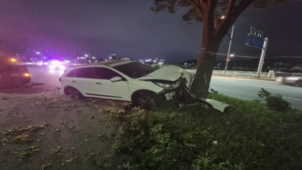 한밤중 중앙분리대 화단 들이받은 차량‥ 운전자 만취 상태