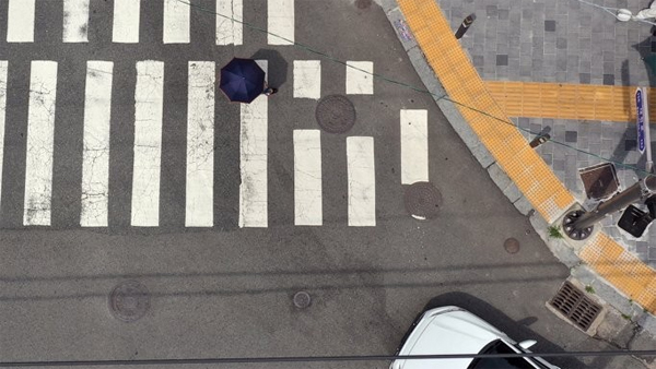 "보행자 보호 강화" 개정 도로교통법 시행 3개월‥사망자 45% 감소